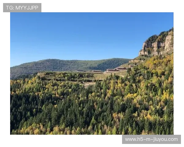 “传感技术与数据分析在“悬空球”新规则中的战术应用探索”，悬空装置艺术