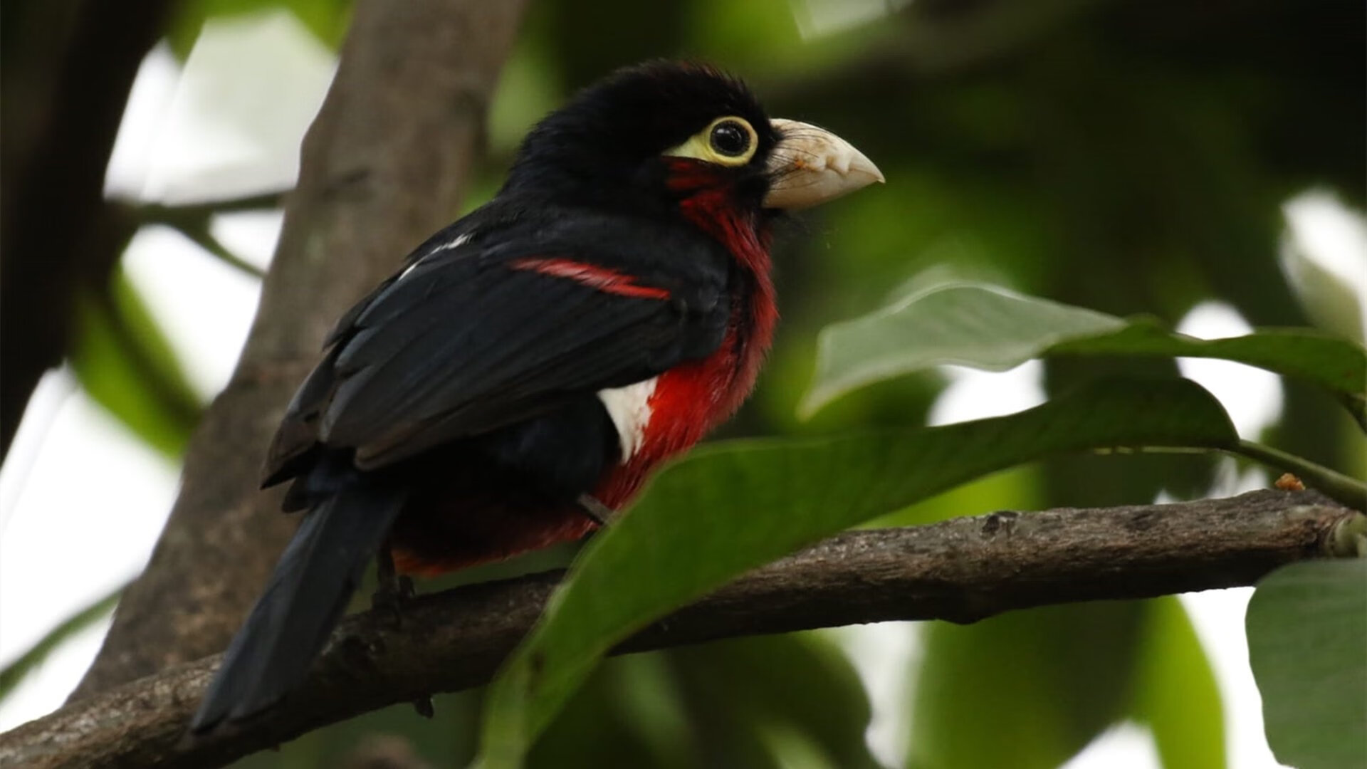 运动装备市场需求动态监测，运动装备市场需求动态监测包括