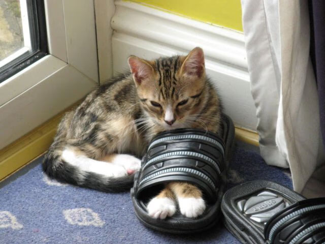 冰雪运动体验课进驻城市商业综合体,冰雪运动中心真能获得客观的经济效益吗