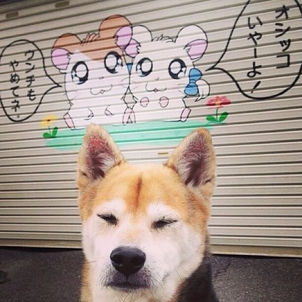 “费尔南多·比亚尔巴的技术突破,使美洲狮队成为全球橄榄球的新力量”