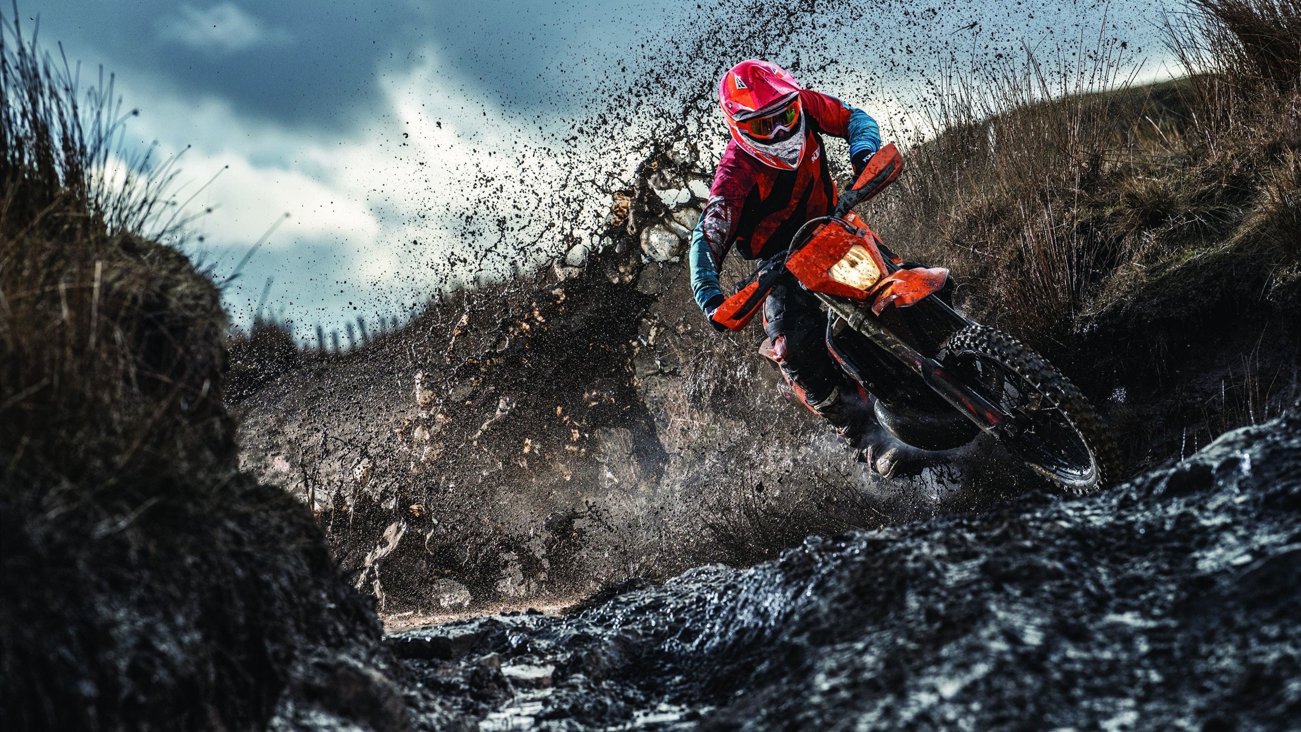 -女子蛙泳荷兰展现技术细腻，蛙泳 女子