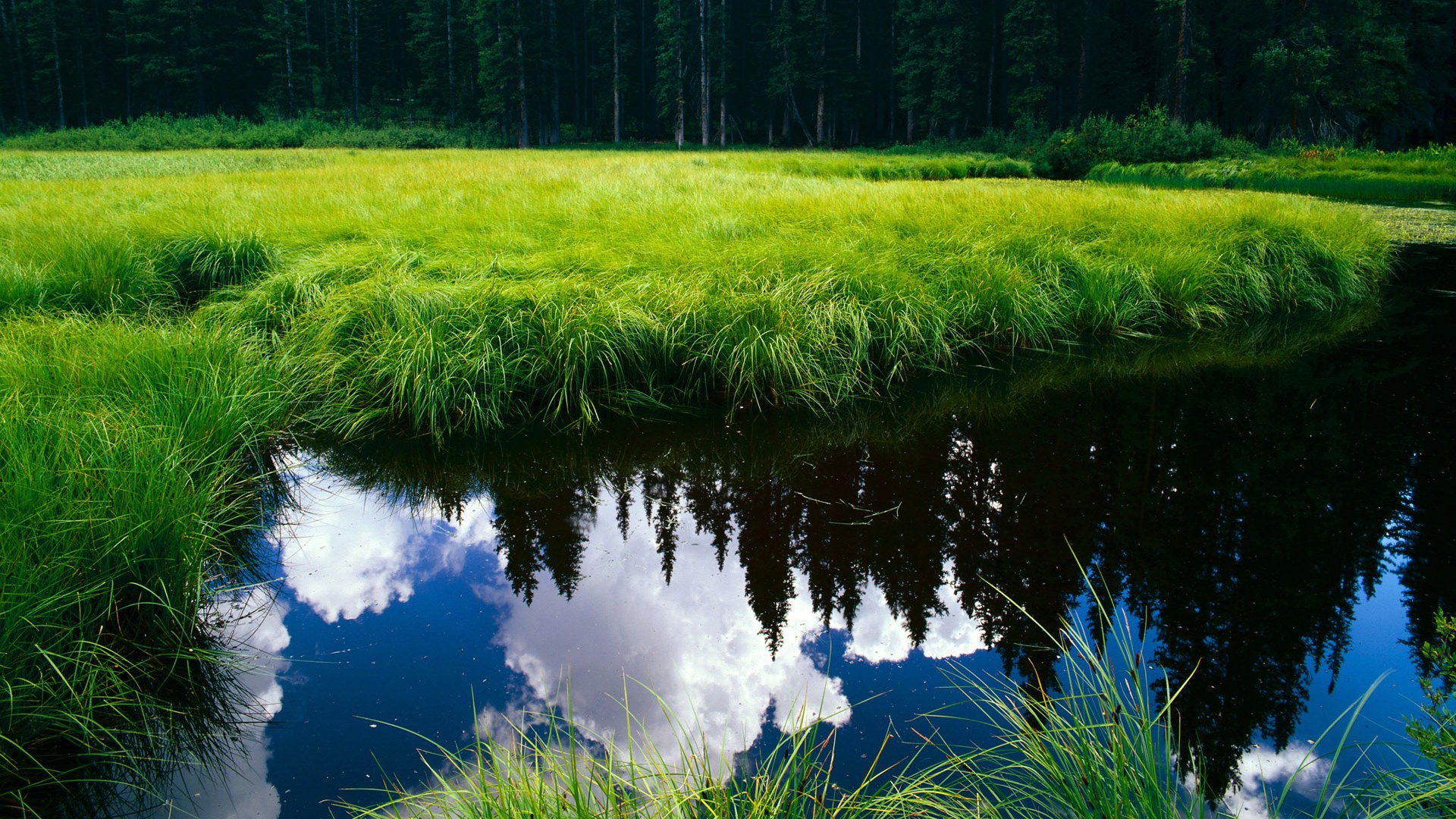 九游娱乐(jiuyou)官方网站-格鲁吉亚女篮在欧洲锦标赛中持续升华，迈入新高度，格鲁吉亚杯赛