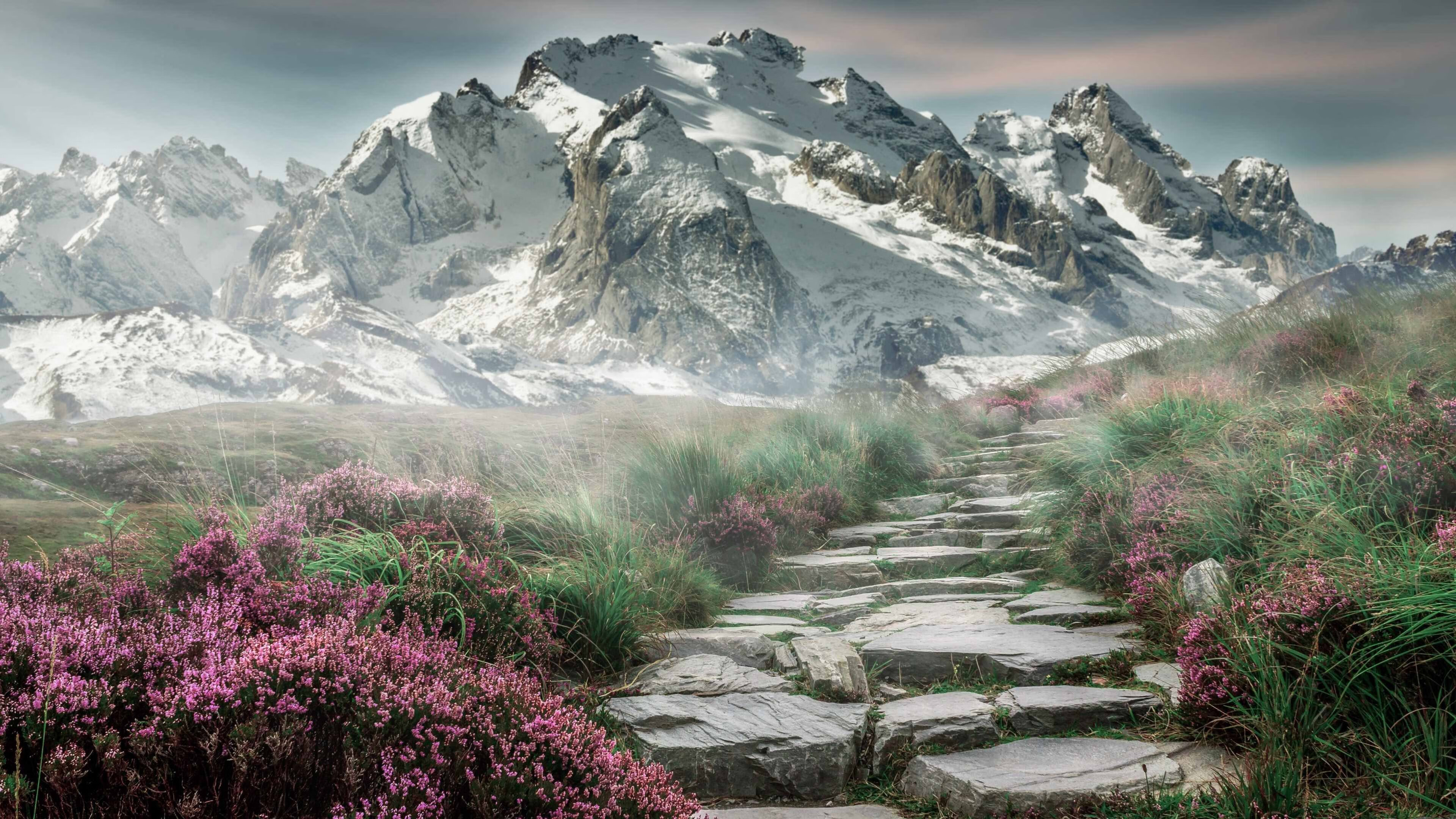 自由泳长距离中立代表队A耐力十足，自由泳长距离视频