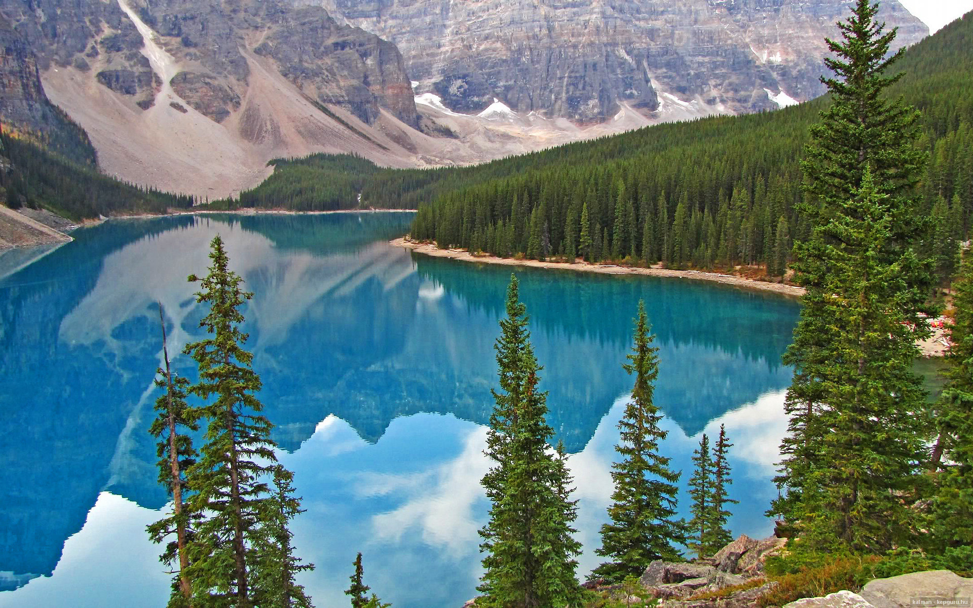 自由泳长距离中立代表队A耐力十足，自由泳长距离视频